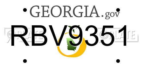 RBV9351 Georgia License Plate