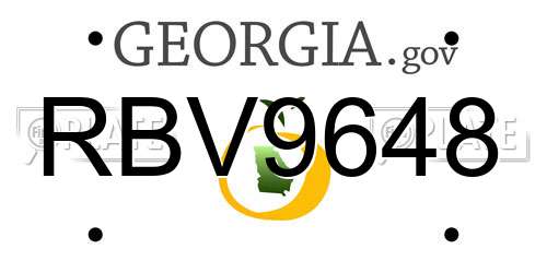 RBV9648 Georgia License Plate