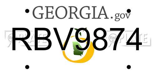 RBV9874 Georgia License Plate
