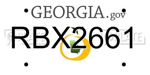 RBX2661 Georgia License Plate