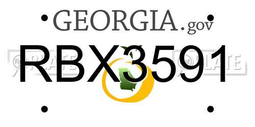 RBX3591 Georgia License Plate