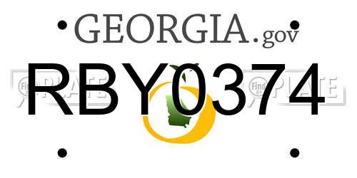 RBY0374 Georgia License Plate