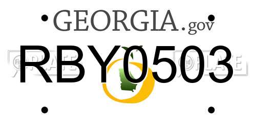 RBY0503 Georgia License Plate