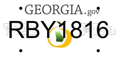 RBY1816 Georgia License Plate