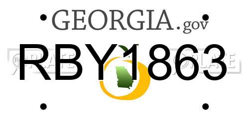 RBY1863 Georgia License Plate