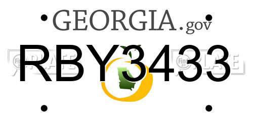 RBY3433 Georgia License Plate