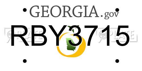 RBY3715 Georgia License Plate