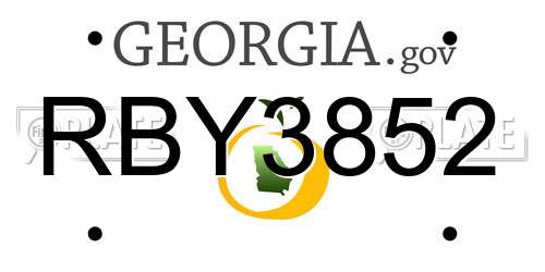 RBY3852 Georgia License Plate