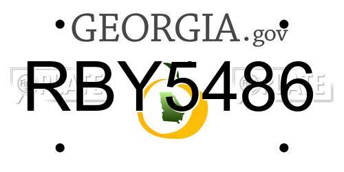 RBY5486 Georgia License Plate