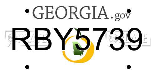 RBY5739 Georgia License Plate