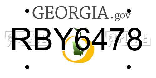 RBY6478 Georgia License Plate