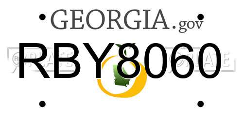 RBY8060 Georgia License Plate