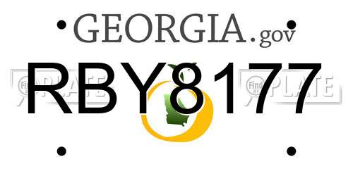 RBY8177 Georgia License Plate