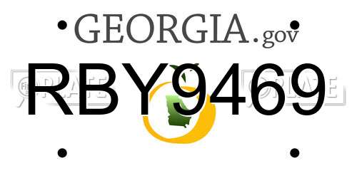 RBY9469 Georgia License Plate