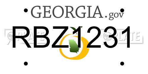 RBZ1231 Georgia License Plate