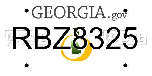 RBZ8325 Georgia License Plate