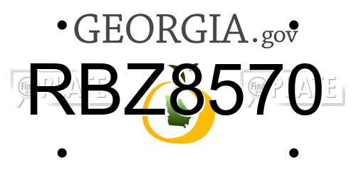 RBZ8570 Georgia License Plate