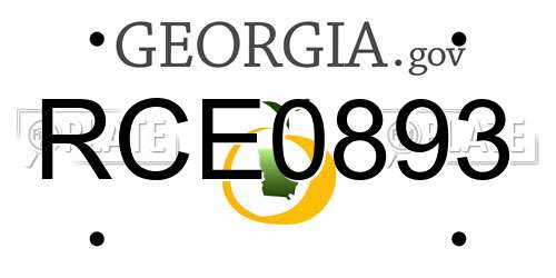 RCE0893 Georgia License Plate