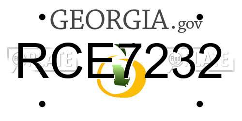 RCE7232 Georgia License Plate