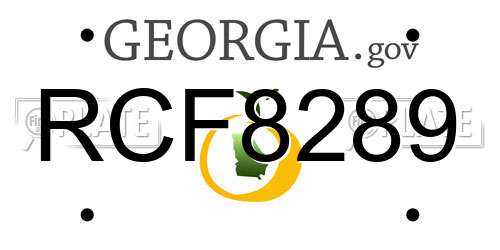 RCF8289 Georgia License Plate