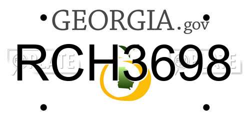 RCH3698 Georgia License Plate