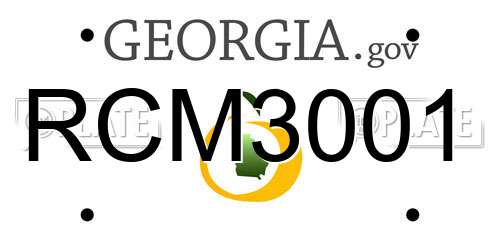 RCM3001 Georgia License Plate