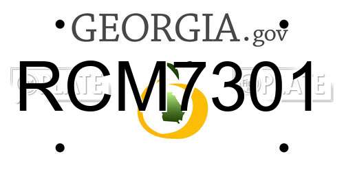RCM7301 Georgia License Plate
