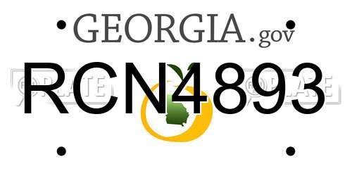 RCN4893 Georgia License Plate