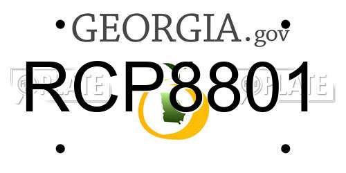 RCP8801 Georgia License Plate