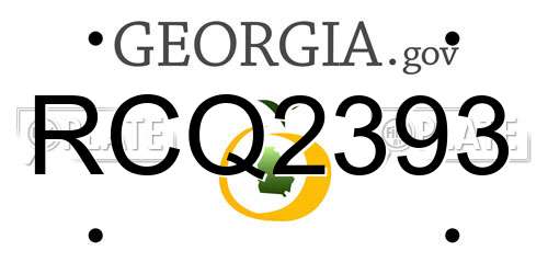 RCQ2393 Georgia License Plate