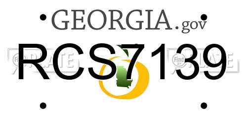 RCS7139 Georgia License Plate