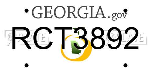 RCT3892 Georgia License Plate