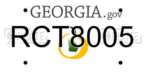 RCT8005 Georgia License Plate