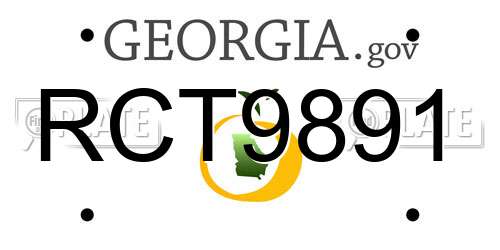 RCT9891 Georgia License Plate