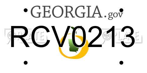 RCV0213 Georgia License Plate