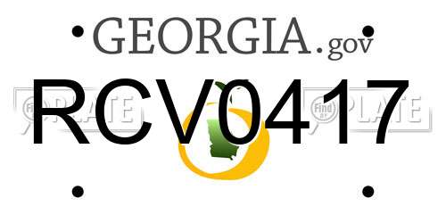 RCV0417 Georgia License Plate