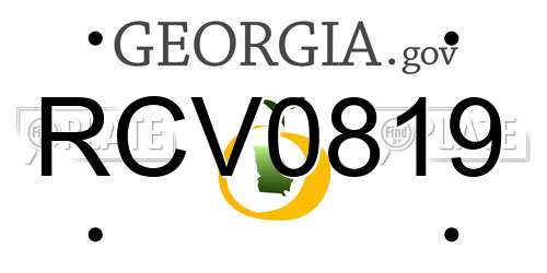 RCV0819 Georgia License Plate