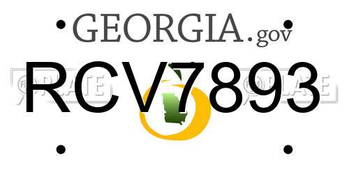 RCV7893 Georgia License Plate
