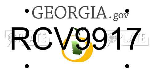 RCV9917 Georgia License Plate