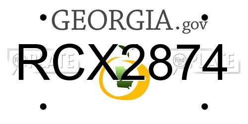 RCX2874 Georgia License Plate