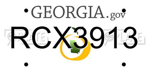 RCX3913 Georgia License Plate