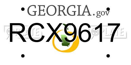 RCX9617 Georgia License Plate
