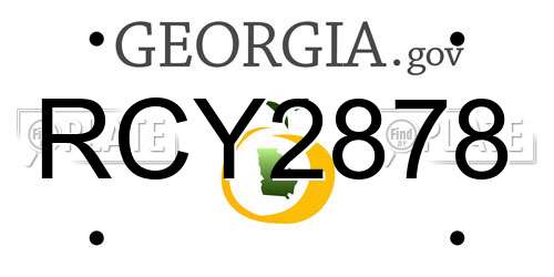 RCY2878 Georgia License Plate