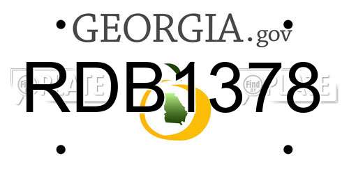RDB1378 Georgia License Plate