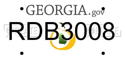 RDB3008 Georgia License Plate
