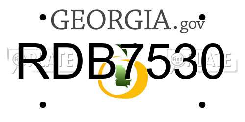 RDB7530 Georgia License Plate