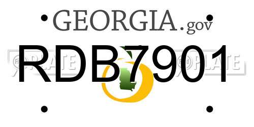 RDB7901 Georgia License Plate