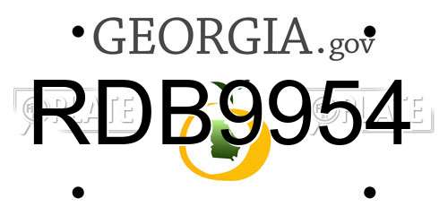 RDB9954 Georgia License Plate