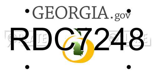 RDC7248 Georgia License Plate