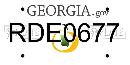 RDE0677 Georgia License Plate